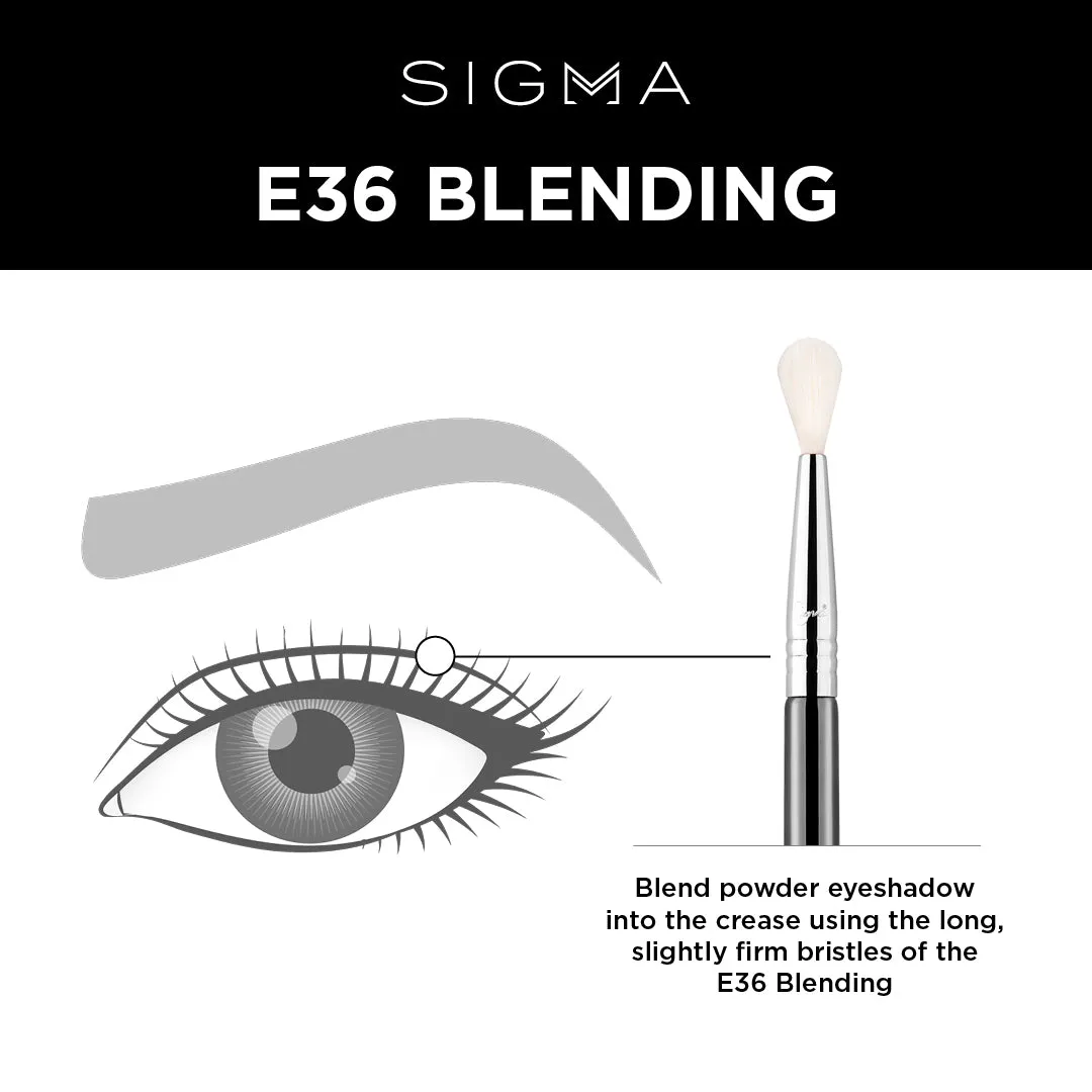 Sigma E36 Blending Brush