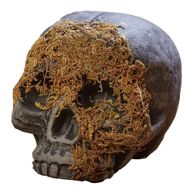 Skeleton Skull Moss Covered No Jaw