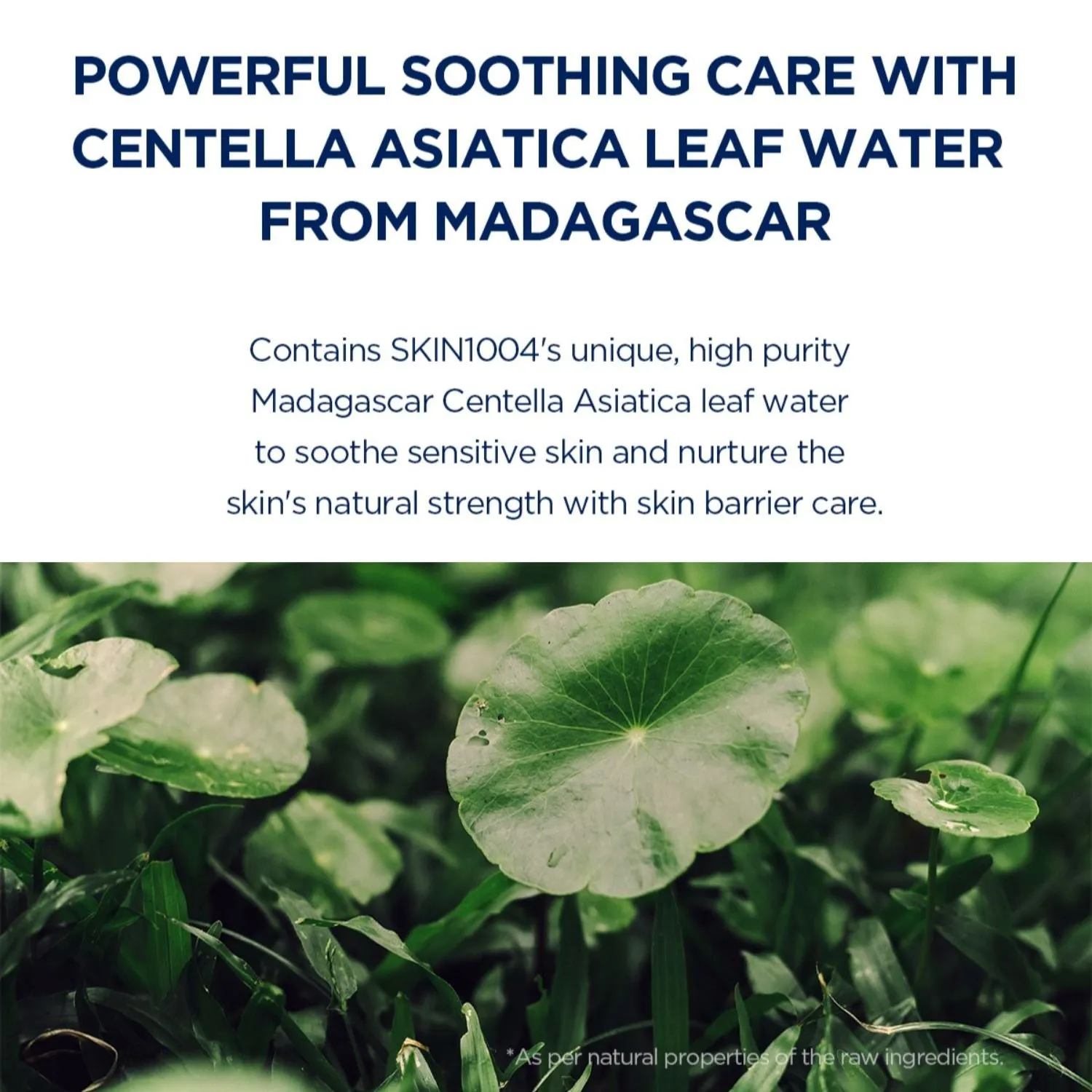 SKIN1004 Madagascar Centella Hyalu-Cica Sleeping Pack 100ml