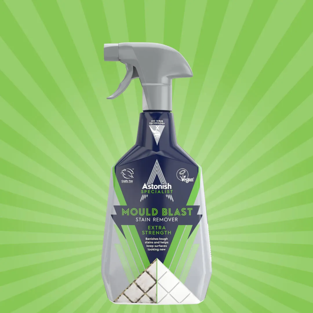 Specialist Mould Blast Stain Remover