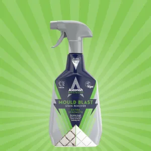 Specialist Mould Blast Stain Remover
