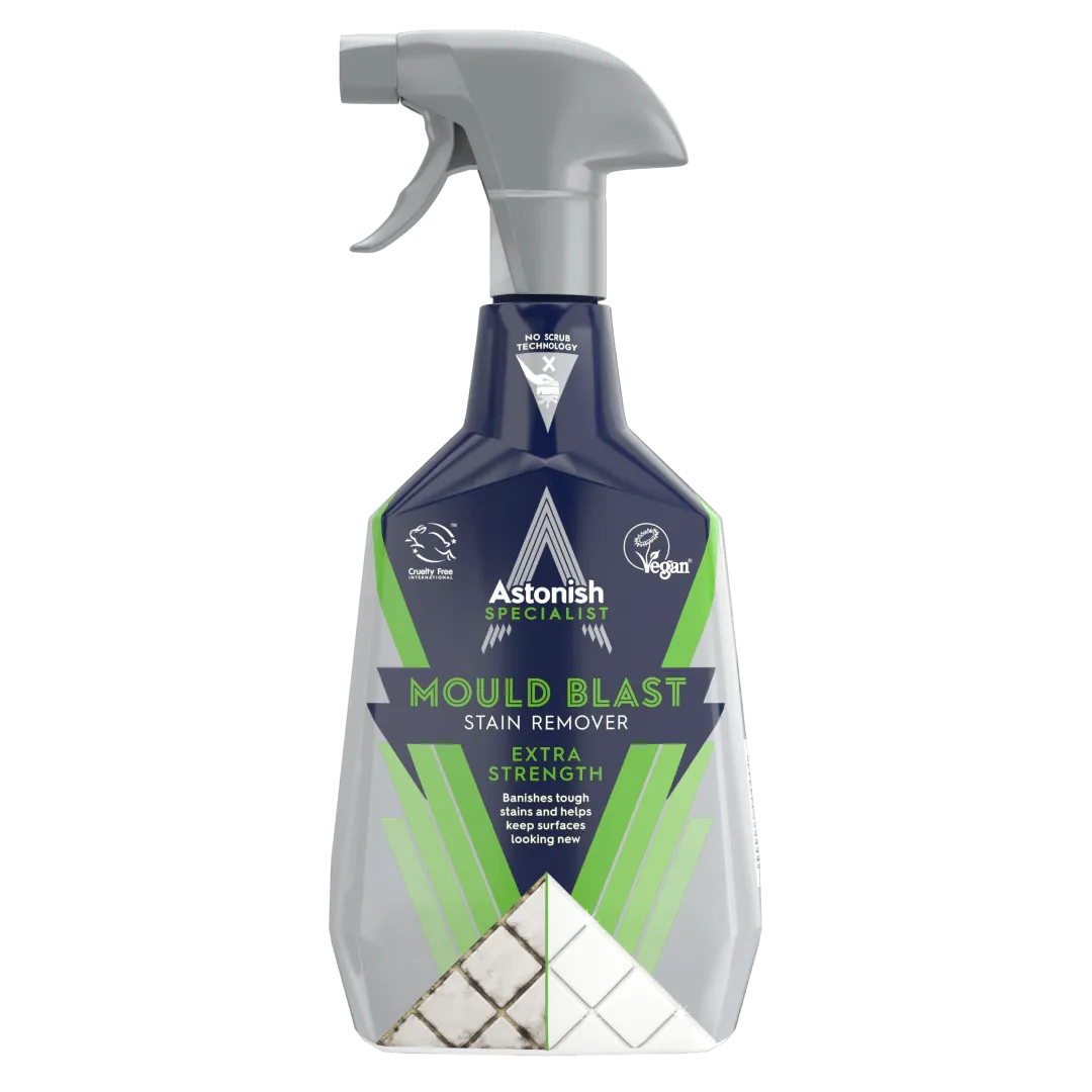 Specialist Mould Blast Stain Remover