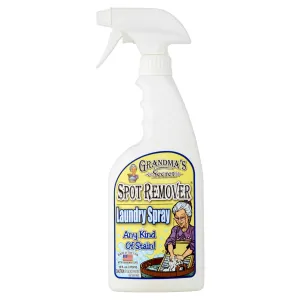 Spot Remover Laundry Spray, 16 Ounce Free Shipping