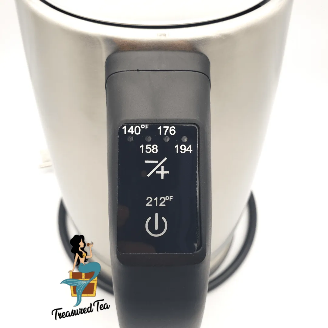Stainless Steel Tea Kettle
