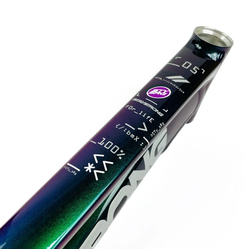 Stay Strong For Life 2024 V5 Expert Race Frame - Disc Frame