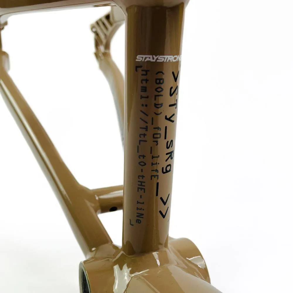 Stay Strong For Life 2024 V5 Expert Race Frame - Disc Frame