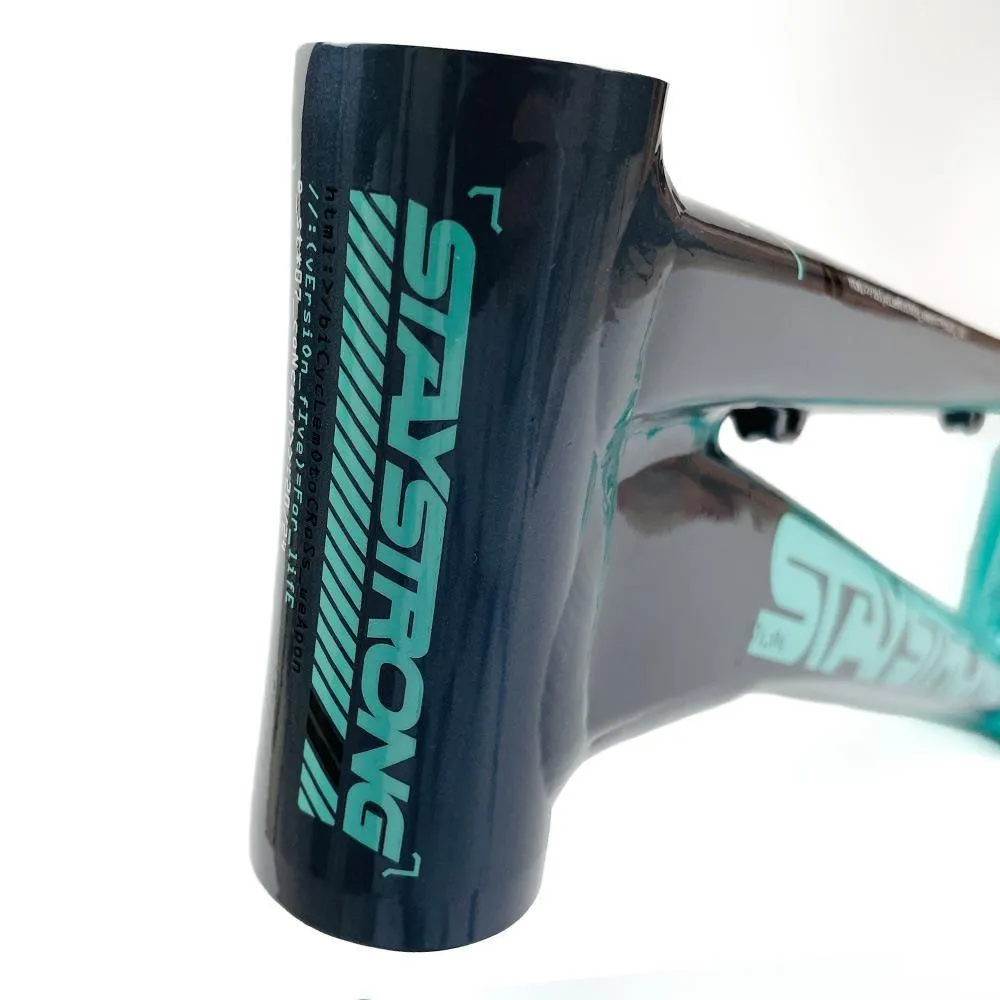 Stay Strong For Life 2024 V5 Expert Race Frame - Disc Frame