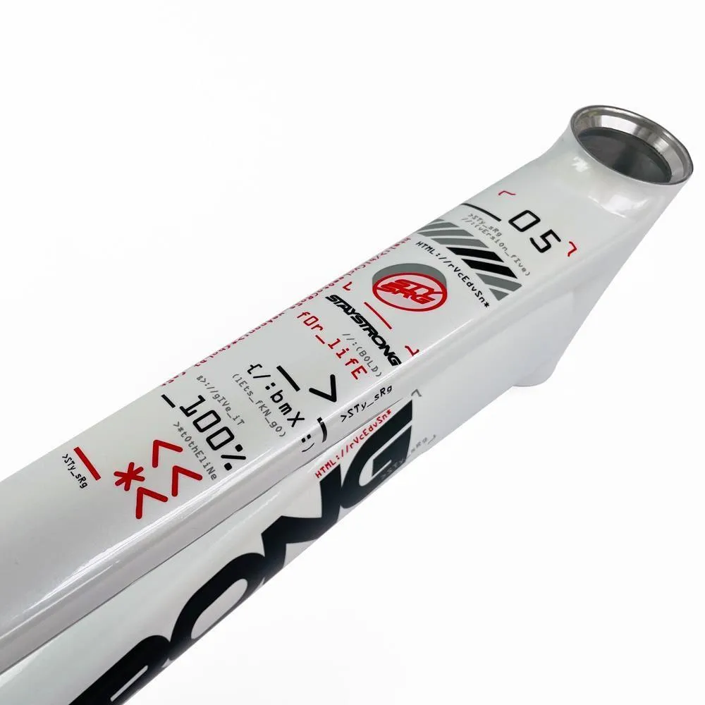Stay Strong For Life 2024 V5 Expert Race Frame - Disc Frame