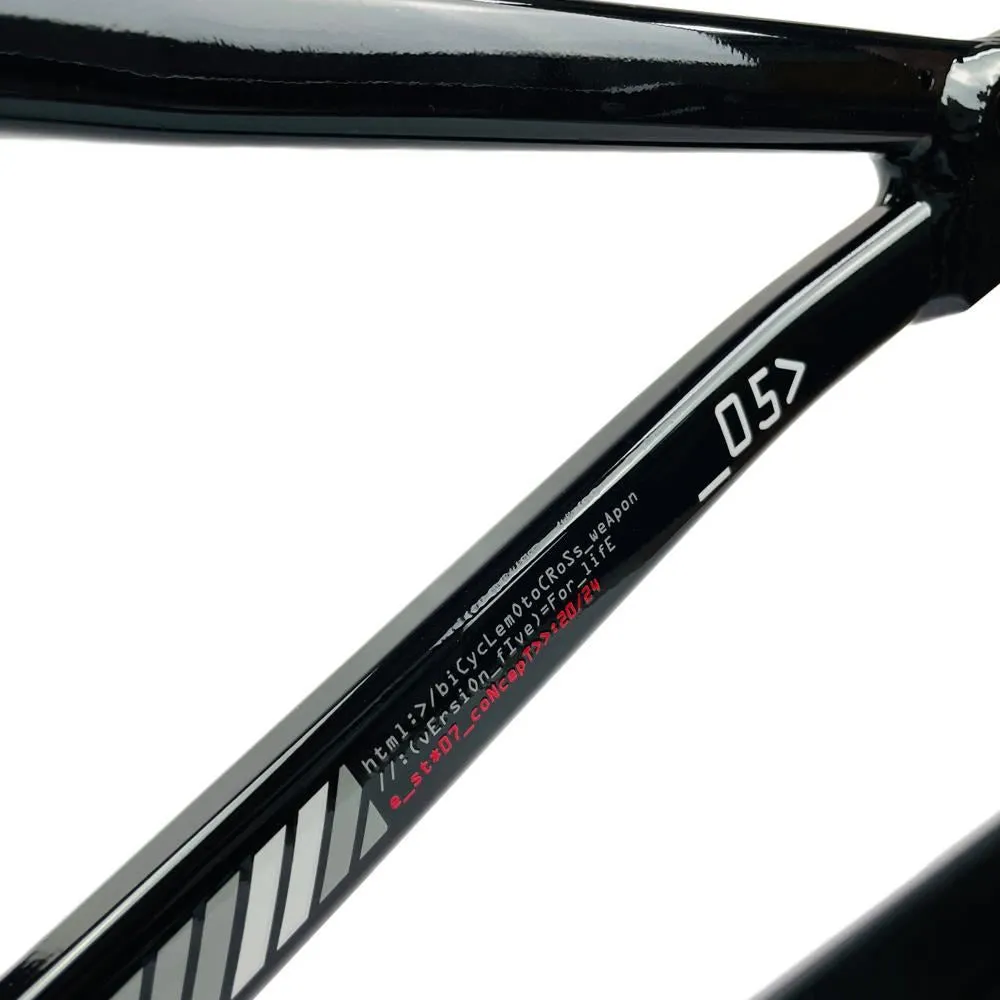Stay Strong For Life 2024 V5 Expert Race Frame