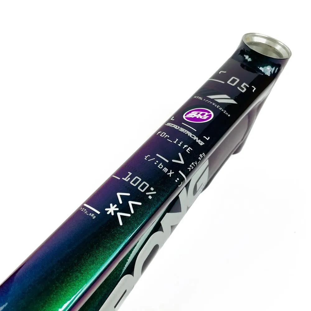 Stay Strong For Life 2024 V5 Expert XL Race Frame - Disc version