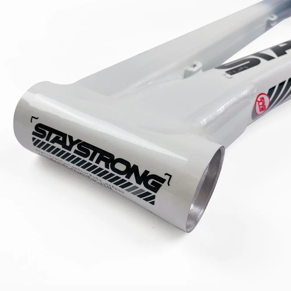 Stay Strong For Life 2024 V5 Mini Race Frame - Disc Version
