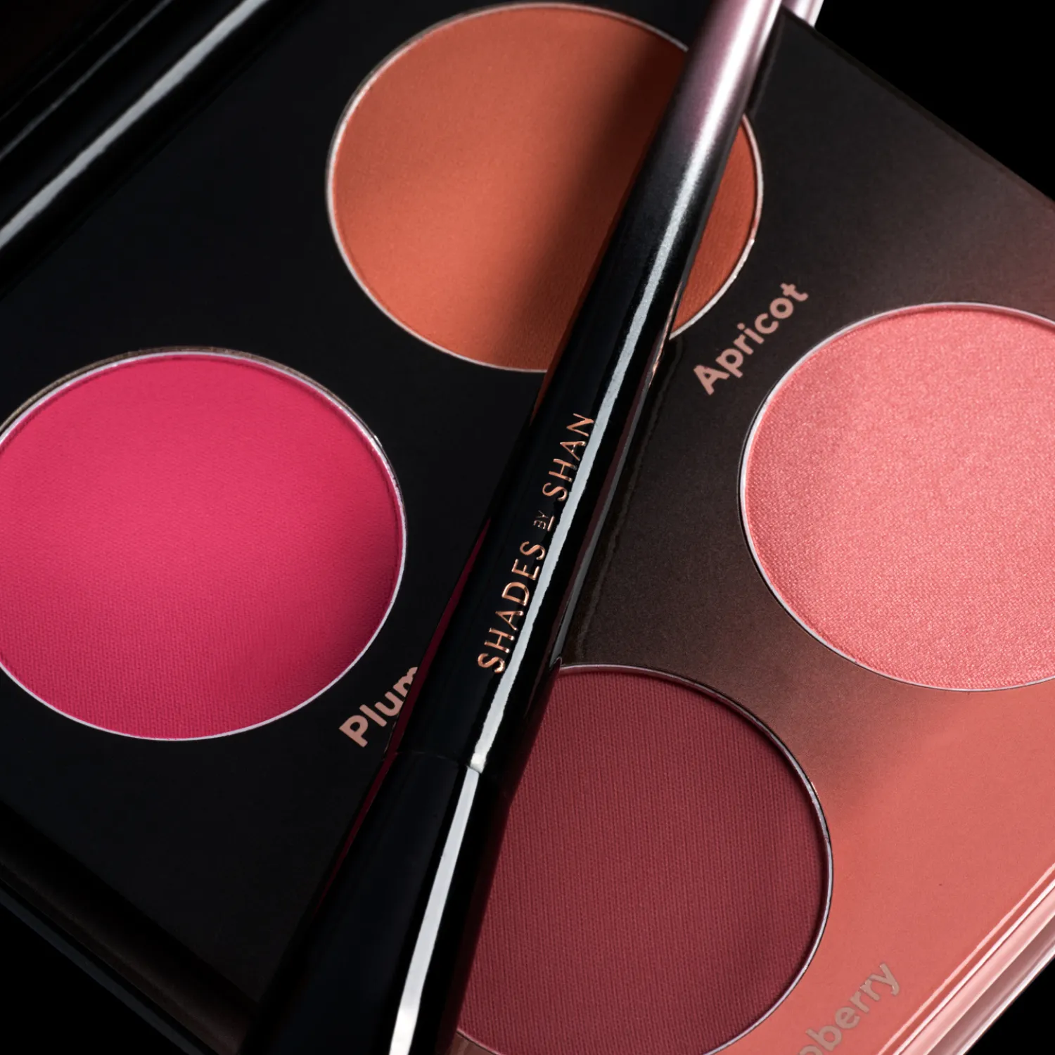 The Blush Palette