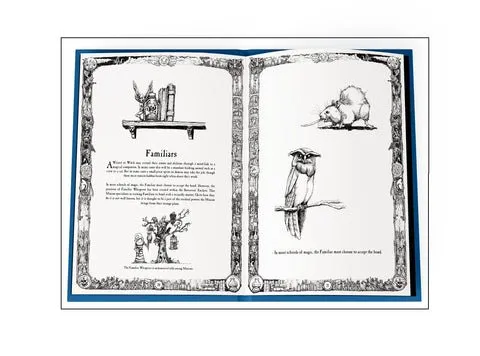 The Sorcerers' Enclave Book with Posters and Postcards