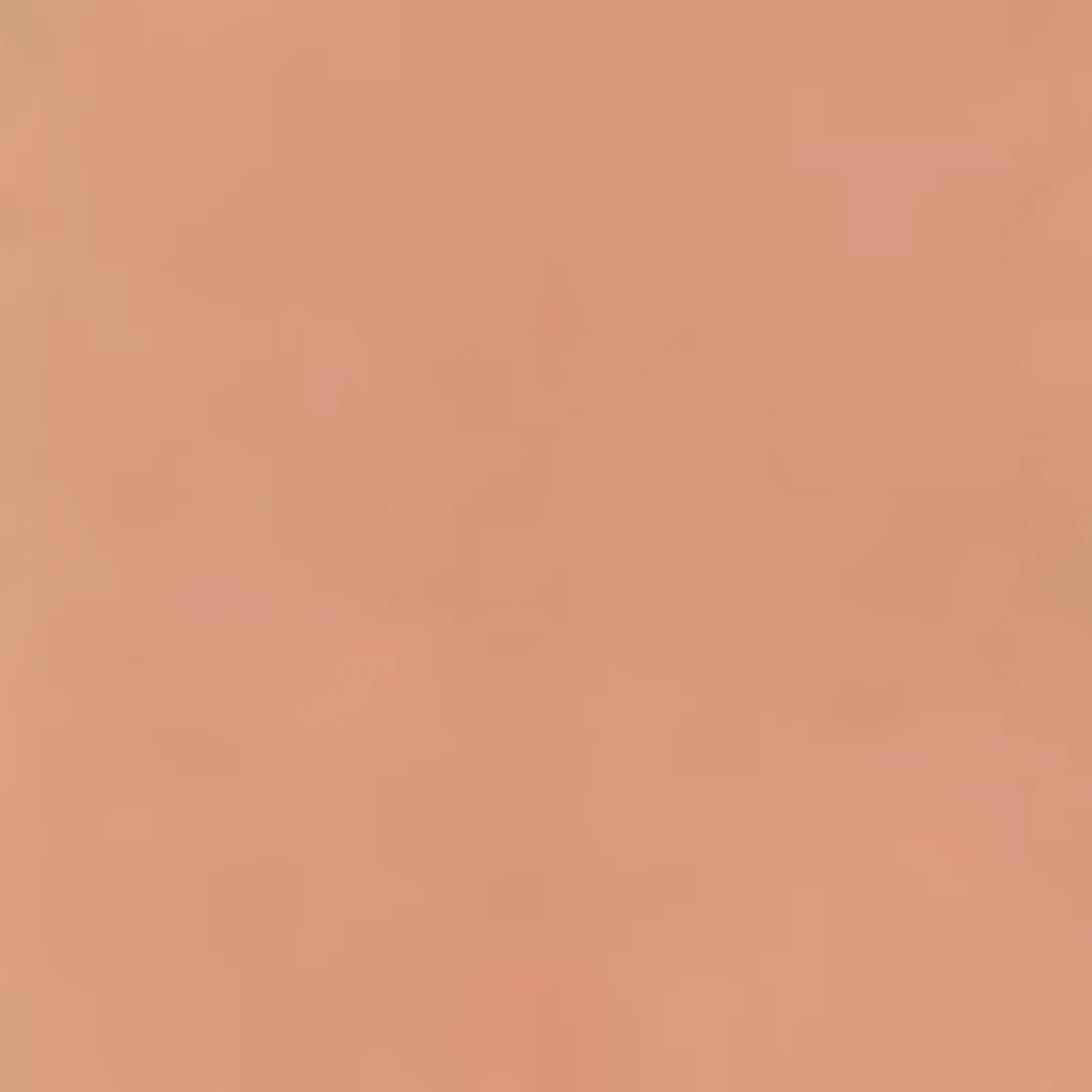 Tinted Lip Polish (Gloss)