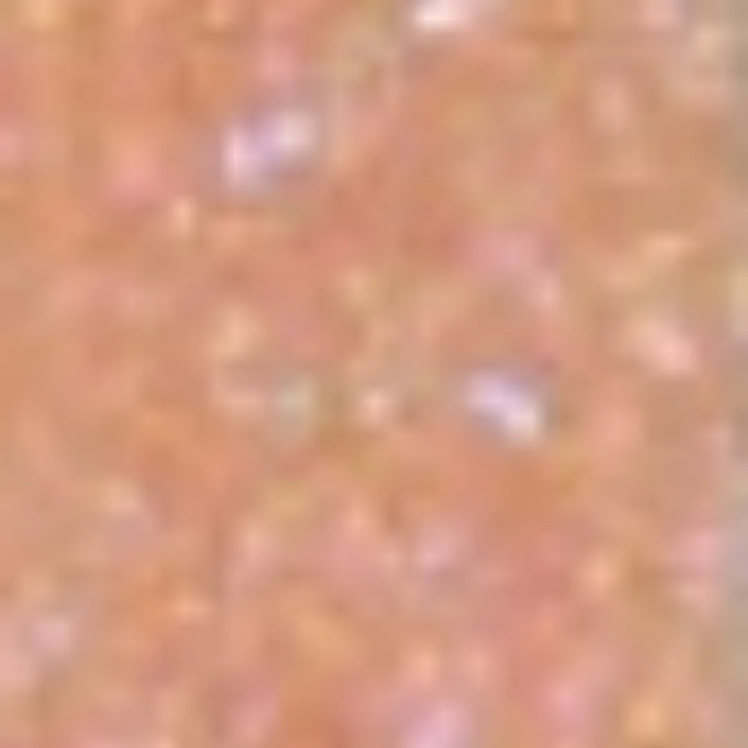 Tinted Lip Polish (Gloss)