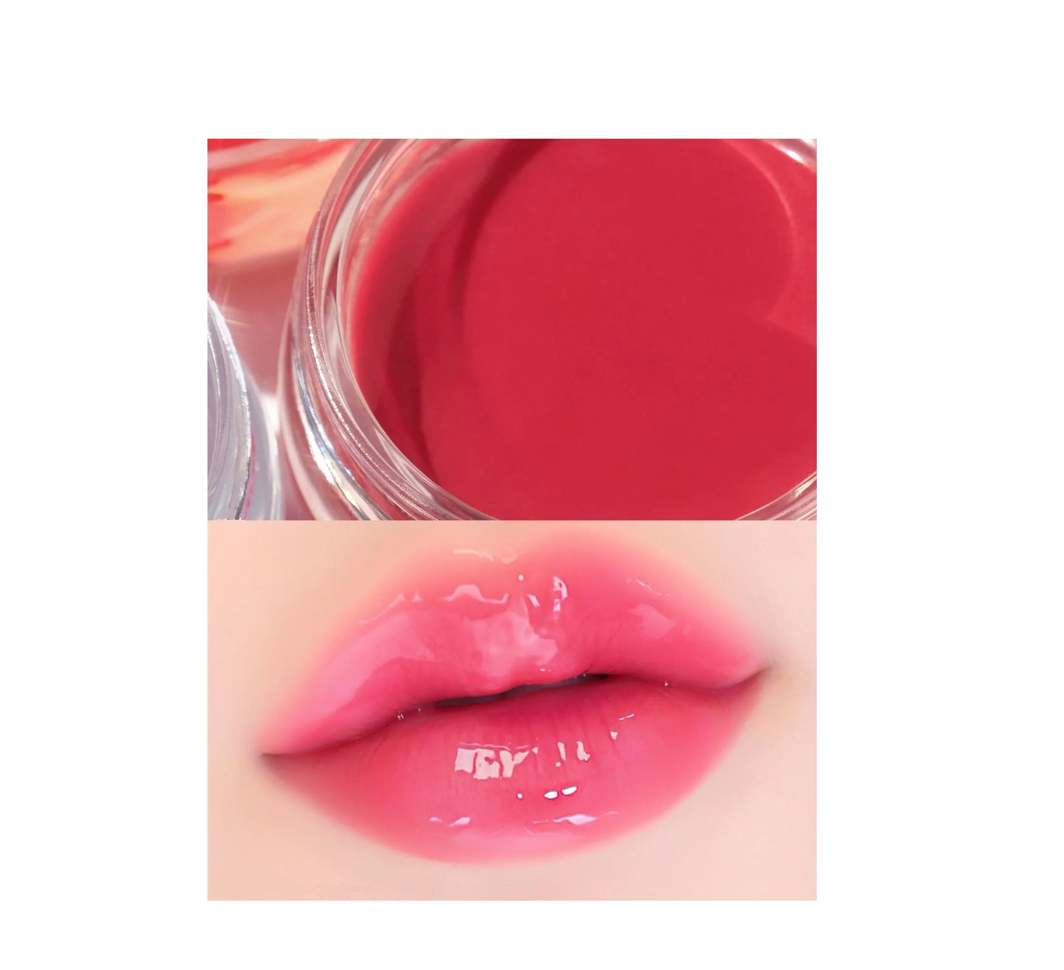 Tintin Dory Jam - 8 Colors