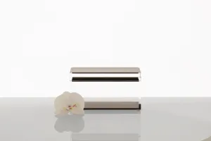 Treasure Box in Bronze