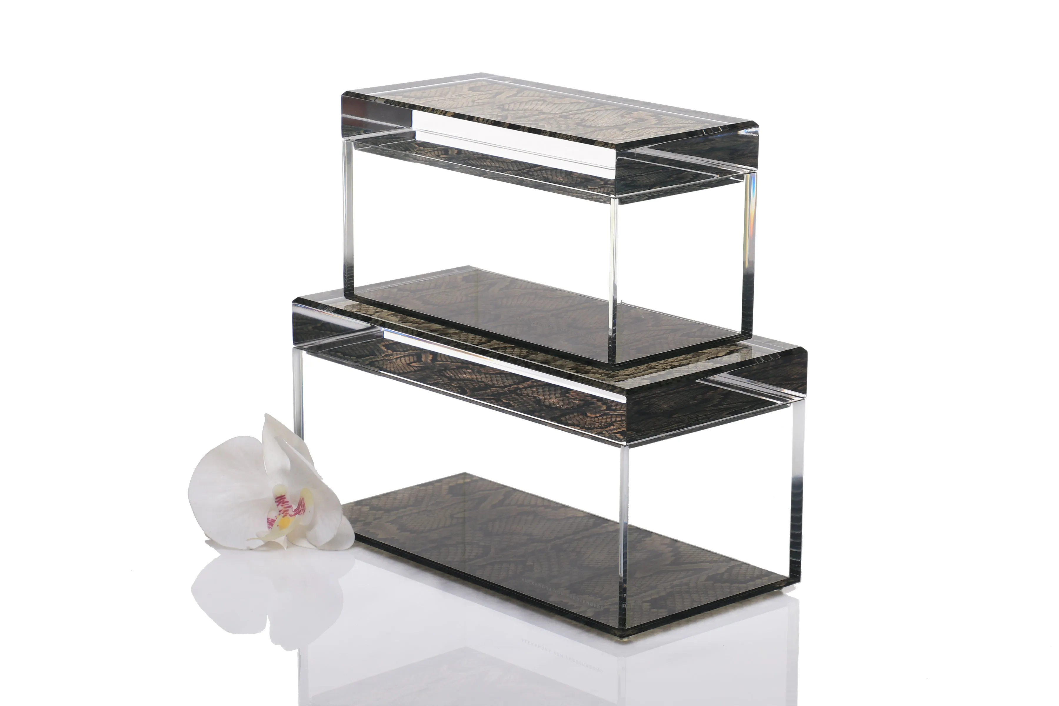 Treasure Box in Snakeskin Print