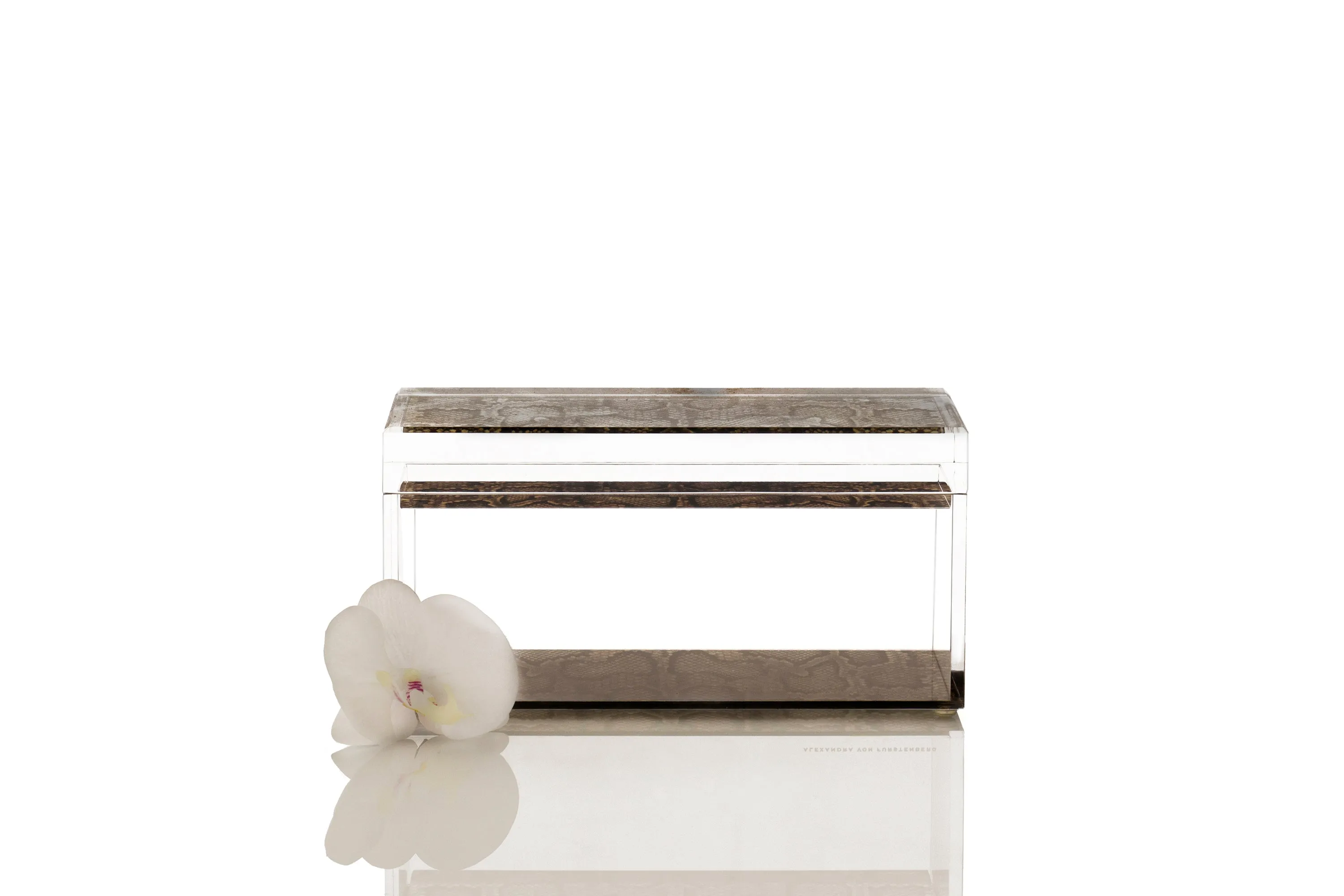 Treasure Box in Snakeskin Print