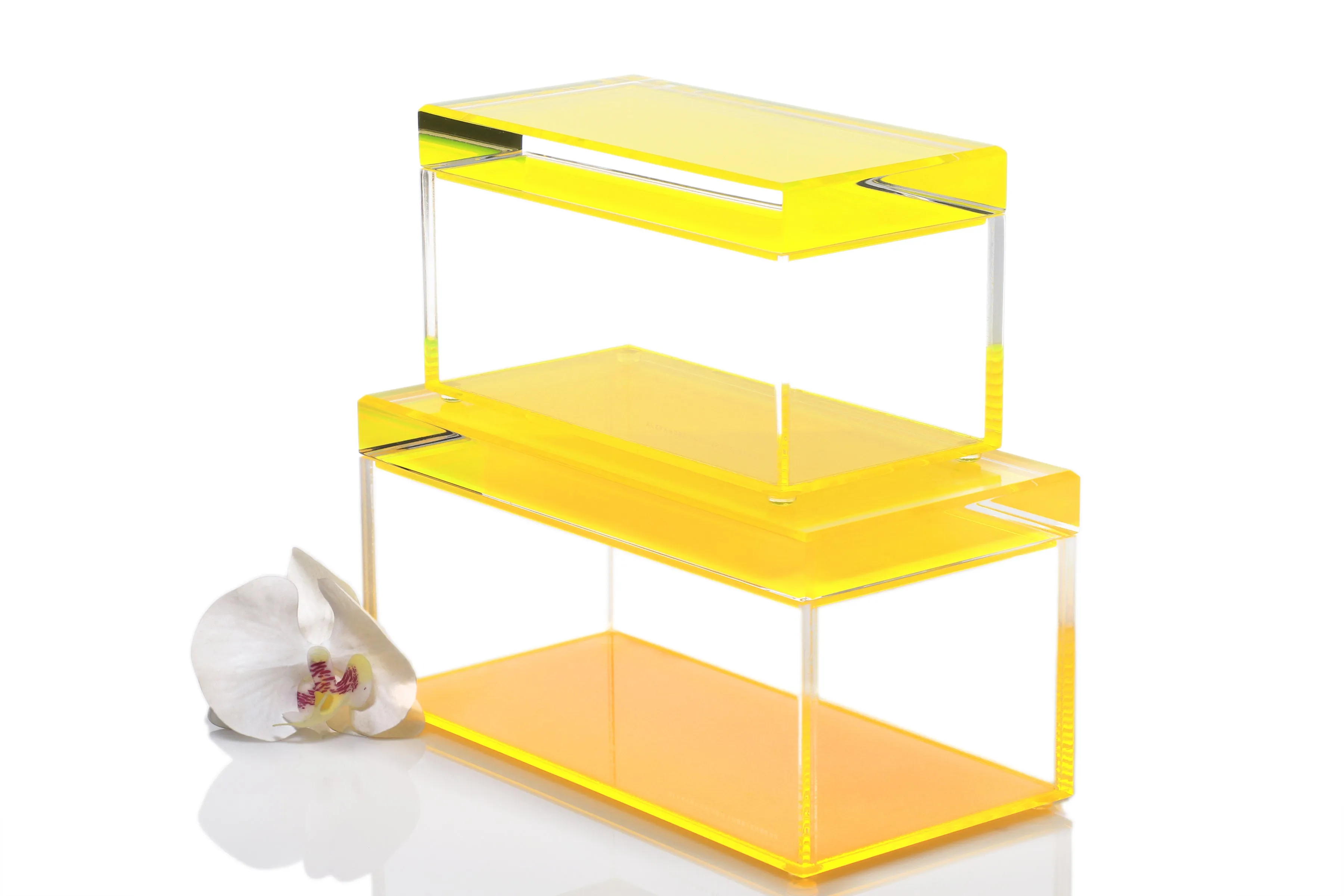 Treasure Box in Yellow