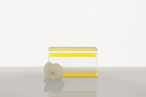 Treasure Box in Yellow