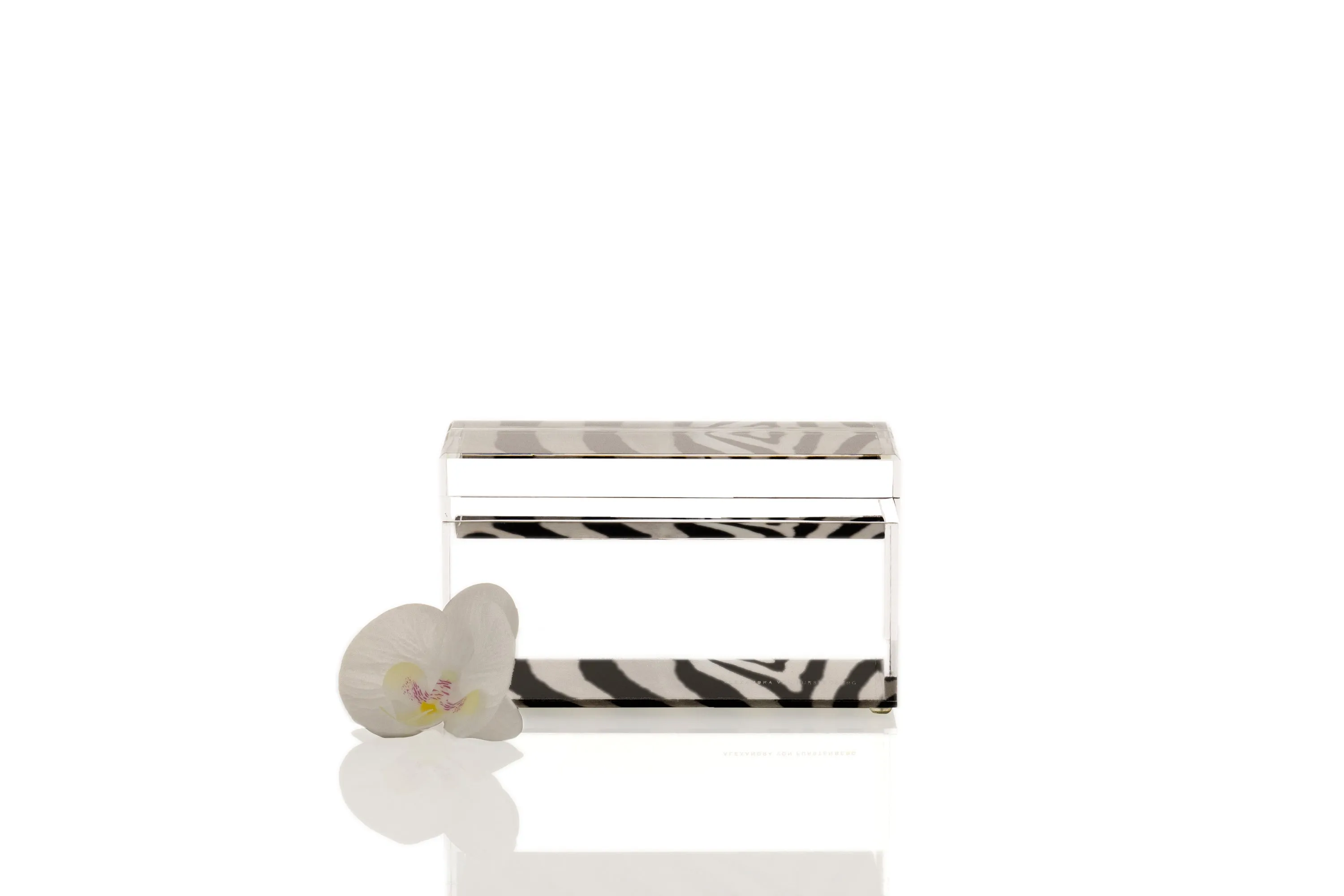 Treasure Box in Zebra Print