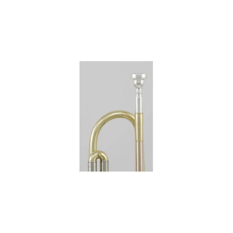 Trompeta Con Tonalidad Bb C/estuche, Roy Benson Tr-202