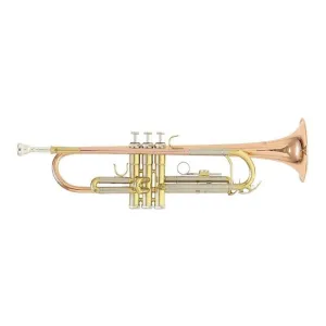 Trompeta Con Tonalidad Bb C/estuche, Roy Benson Tr-202g
