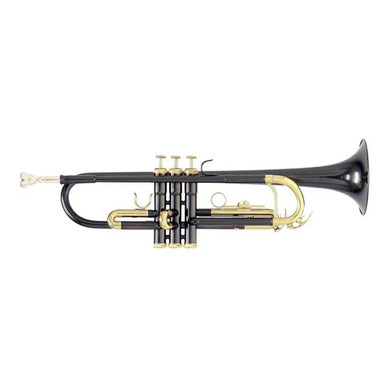 Trompeta Tonalidad Bb Tudel Ml Antracita Roy Benson Tr-101k