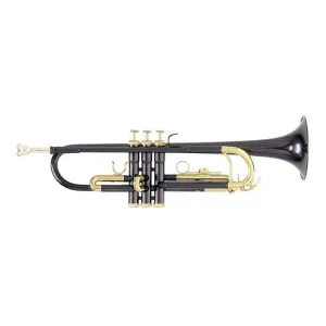 Trompeta Tonalidad Bb Tudel Ml Antracita Roy Benson Tr-101k