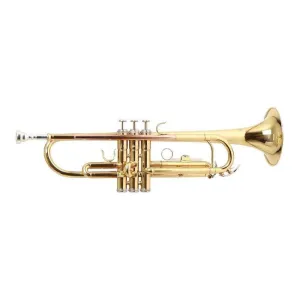 Trompeta Tonalidad Bb Tudel Ml C/estuche Roy Benson Tr-101
