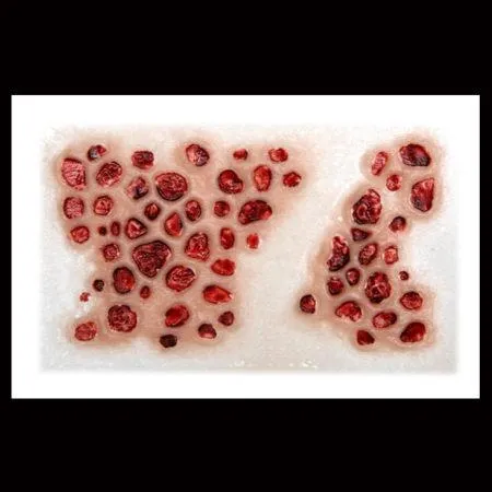 Trypophobia 3D FX Transfers