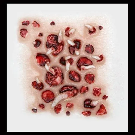 Trypophobia With Maggots 3D FX Transfer