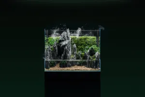 UNS Foresta Paludarium