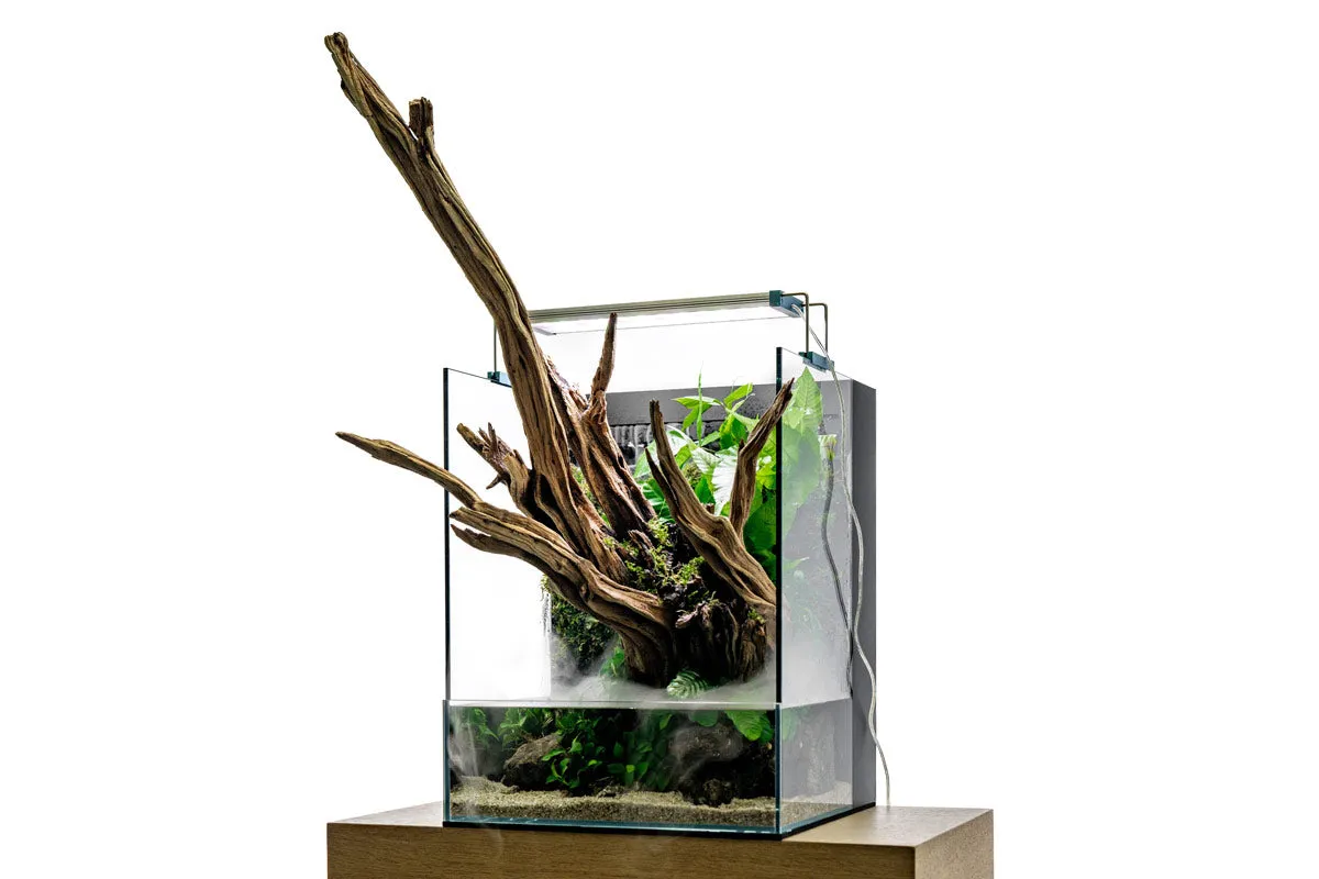 UNS Foresta Paludarium