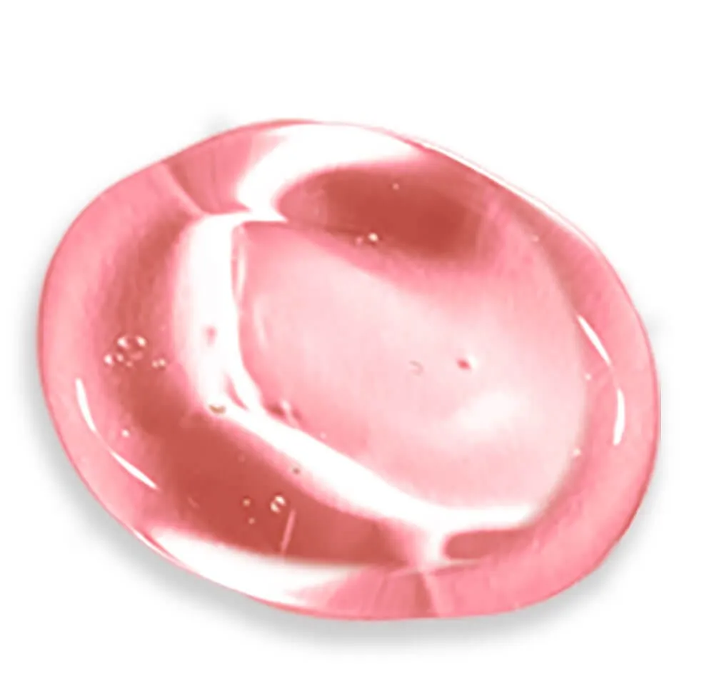 Wild Mint Lip Balm with Bakuchiol