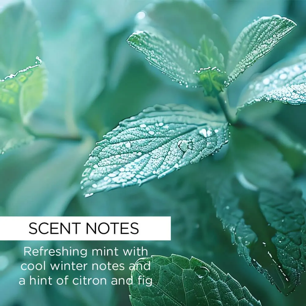 Wild Mint Lip Balm with Bakuchiol