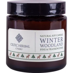 Winter Woodland | Soy Candle with Pine & Frankincense